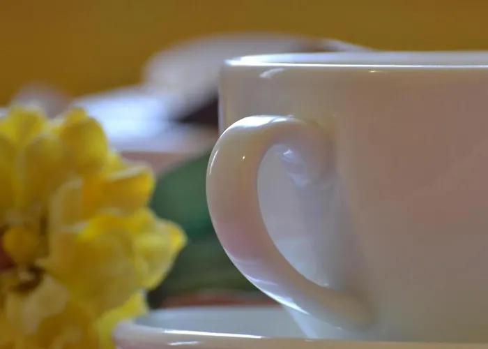 Bed and Breakfast Ai Giardini del Te Mantova
